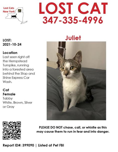 Missing cats near me - see 47 reports: males or females cats found Ontario Canada. ... ©2024 lost-cat.org 2024-03-20 14:33:42. Countries/Regions ...